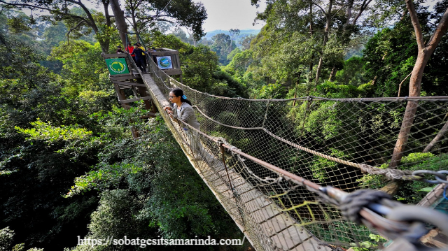 Berwisata dan Berjelajah ke Taman Nasional Kutai