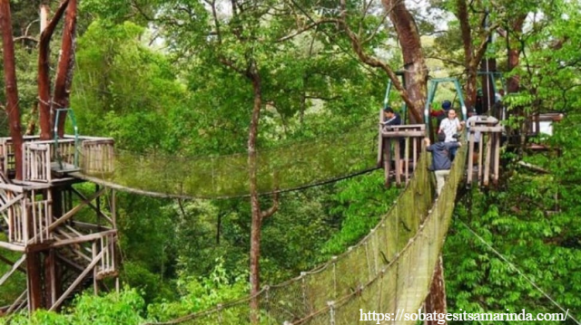 Berwisata dan Berjelajah ke Bukit Bangkirai